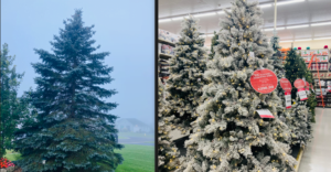 Real vs. Fake Christmas Tree: Which One Is Better for Your Home? ReaL-VS-FAKE