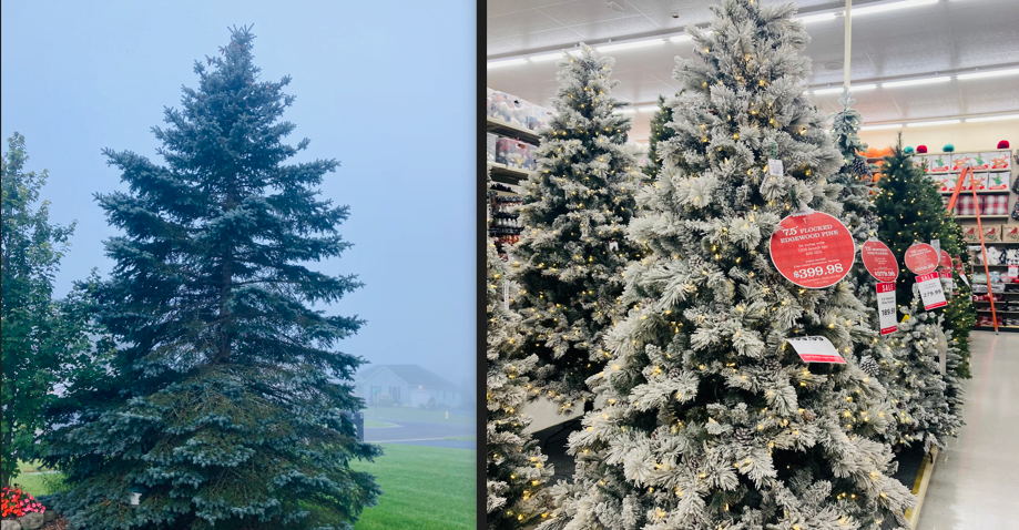 Christmas Tree Real vs Fake